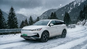 Snowy Mountain BYD