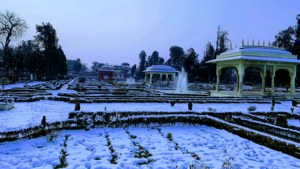 Snowy Mughal Gardens