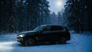 Snowy Night Forest