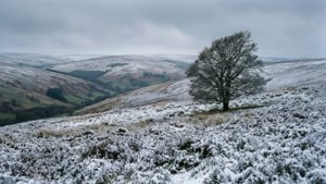 Snowy North York Moors