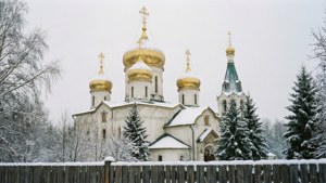 Snowy Onion Domes