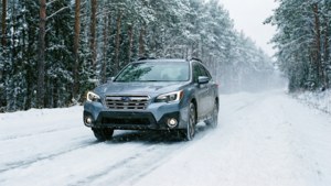 Snowy Pine Forest