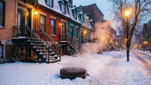 Snowy Plateau Street