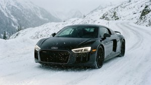 Snowy R8