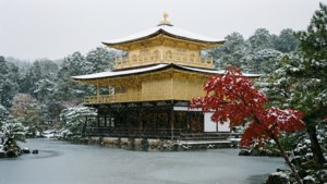 Snowy Serenity at the Pavilion