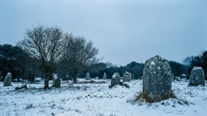 Snowy Silence