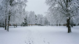 Snowy Skövde Park