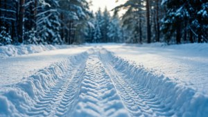Snowy Trail Tracks