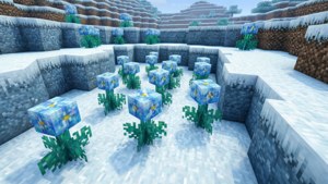 Snowy Tundra Blooms