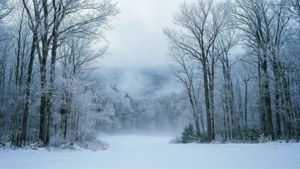 Snowy Winter Landscape