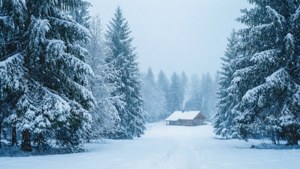 Snowy Winter Peace