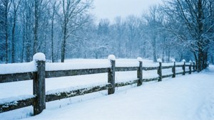 Snowy Wooden Fence