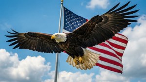 Soaring Freedom