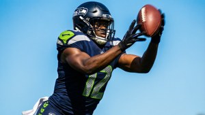 Soaring Seahawk