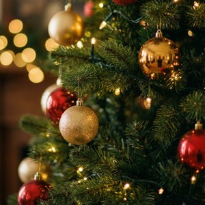 Soft Christmas Tree Lights