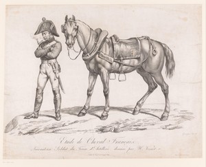 Soldaat met zijn paard