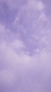 Solid Lavender Cloud
