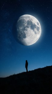 Solitary Moonwatcher
