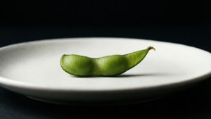 Solitary Pod
