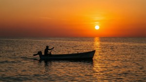 Solitary Rower