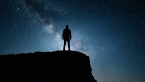 Solitary Starwatcher