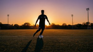 Solitary Training at Dusk