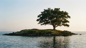 Solitary Tree Island
