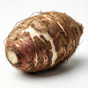 Solitary Yam Portrait