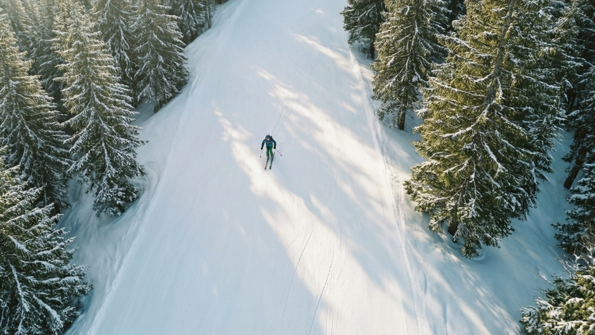 Solitude on Snow by Wallpapers.art Studio