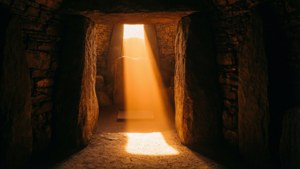 Solstice Light Chamber