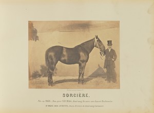 Sorcière
