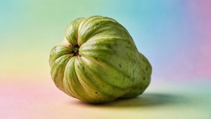 Soursop Pastel Product