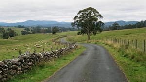 Southern Highlands Pastoral