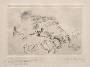 Sows and Piglets