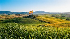 Spain Flag Countryside
