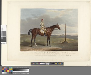 Spaniel. The Winner of the Derby Stakes at Epsom 1831