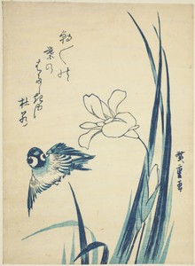 Sparrow and iris