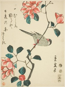 Sparrow on camellia branch