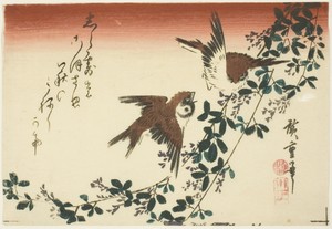 Sparrows and bush clover