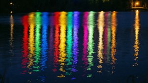 Spectrum Lake Reflection