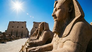 Sphinx Avenue Noon