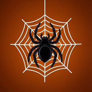 Spiderweb and Spider