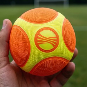 Spikeball Ball Detail