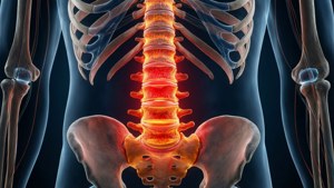 Spine Anatomy Pain Highlight