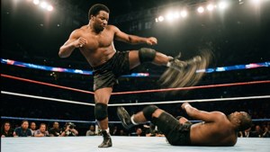 Spinning Heel Kick