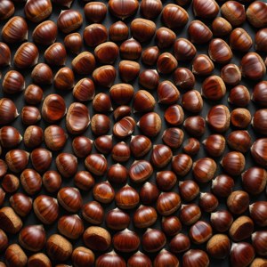 Spiral Chestnut Arrangement