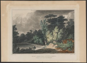Spirit Creek; Near Augusta, Georgia