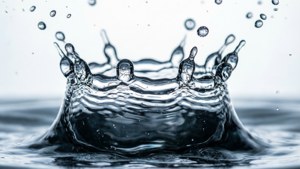 Splash Crown