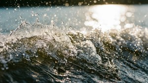 Splash Droplets Wake