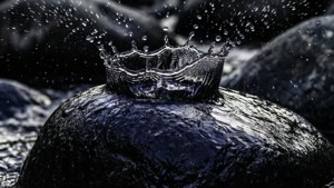 Splash in the Dark